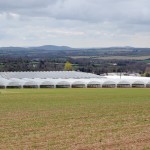 Polytunnels on Kearns Fruit Farm